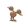 Doduo