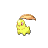 Chikorita