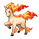 Rapidash