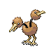 Doduo