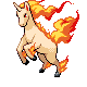 Rapidash