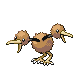 Doduo