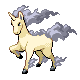 Rapidash