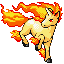 Rapidash