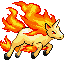 Rapidash