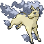 Rapidash