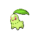 Chikorita