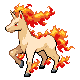 Rapidash