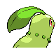 Chikorita