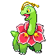 Meganium