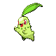 Chikorita