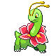 Meganium