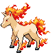 Rapidash