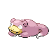 Slowpoke