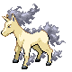 Rapidash