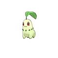 Chikorita