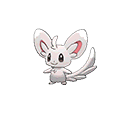 Minccino