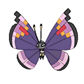 Elegant Vivillon