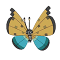 River Vivillon