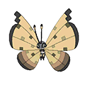 Sandstorm Vivillon