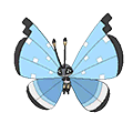 Tundra Vivillon