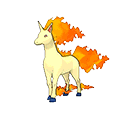 Rapidash