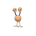 Doduo