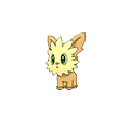 Lillipup