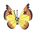 Continental Vivillon