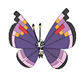 Elegant Vivillon