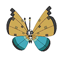 River Vivillon