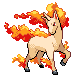 Rapidash