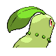 Chikorita