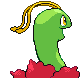 Meganium