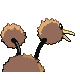 Doduo