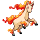 Rapidash