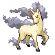 Rapidash