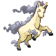 Rapidash