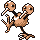 Doduo