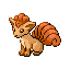 Vulpix