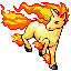 Rapidash