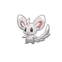 Minccino