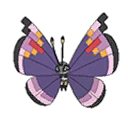 Elegant Vivillon