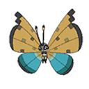 River Vivillon