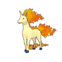 Rapidash