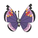 Elegant Vivillon