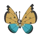 River Vivillon