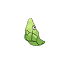 Metapod