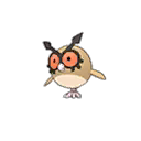 Hoothoot