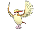 Pidgeot